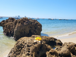 Setubal-Portugal