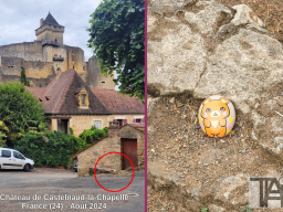 castelnaud