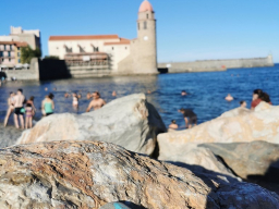 collioure2