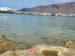 graciosa