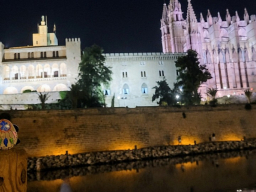 palma