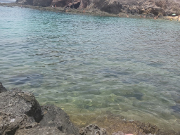 papagayo