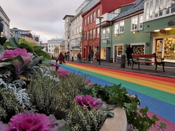 reykjavík