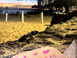waikiki